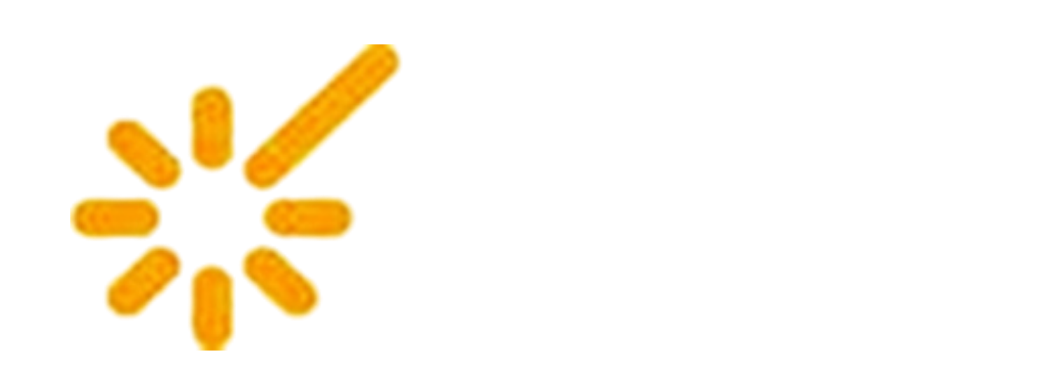 Silex Seguridad